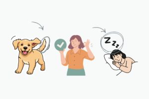 Rébus illustrant que la plateforme SIRIS+ permet de créer des quizz.